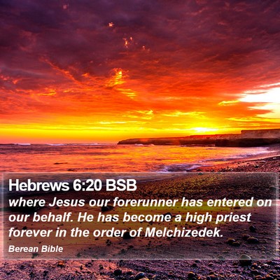 Hebrews 6:20 BSB Bible Verse Image