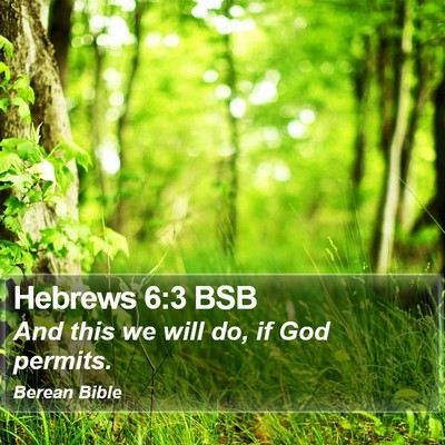 Hebrews 6:3 BSB Bible Verse Image