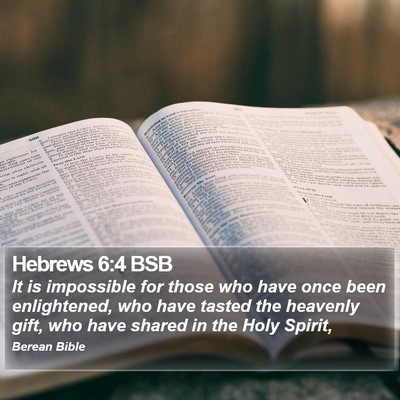 Hebrews 6:4 BSB Bible Verse Image