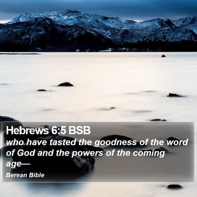 Hebrews 6:5 BSB Bible Verse Image