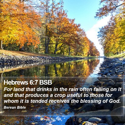 Hebrews 6:7 BSB Bible Verse Image