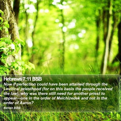 Hebrews 7:11 BSB Bible Verse Image