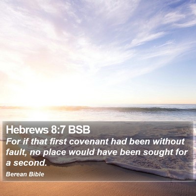 Hebrews 8:7 BSB Bible Verse Image