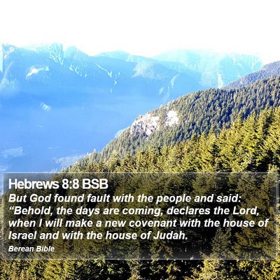 Hebrews 8:8 BSB Bible Verse Image
