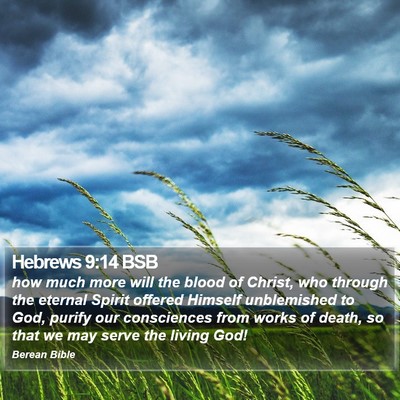 Hebrews 9:14 BSB Bible Verse Image