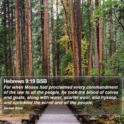 Hebrews 9:19 BSB Bible Verse Image