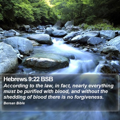 Hebrews 9:22 BSB Bible Verse Image
