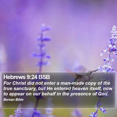 Hebrews 9:24 BSB Bible Verse Image