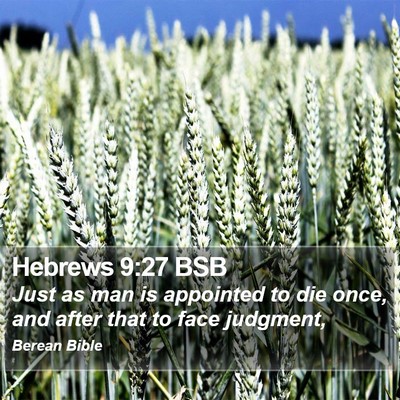 Hebrews 9:27 BSB Bible Verse Image