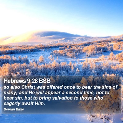 Hebrews 9:28 BSB Bible Verse Image