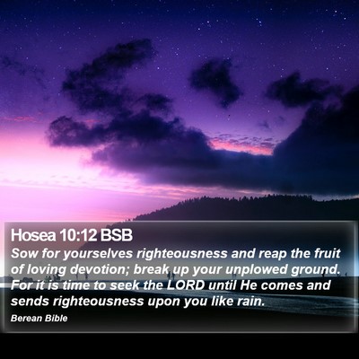 Hosea 10:12 BSB Bible Verse Image