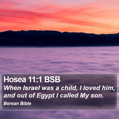 Hosea 11:1 BSB Bible Verse Image