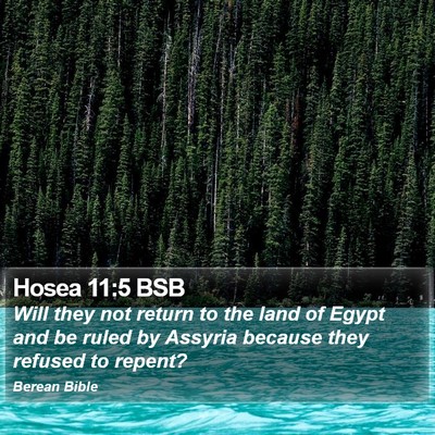 Hosea 11:5 BSB Bible Verse Image