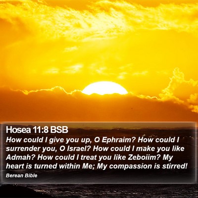 Hosea 11:8 BSB Bible Verse Image