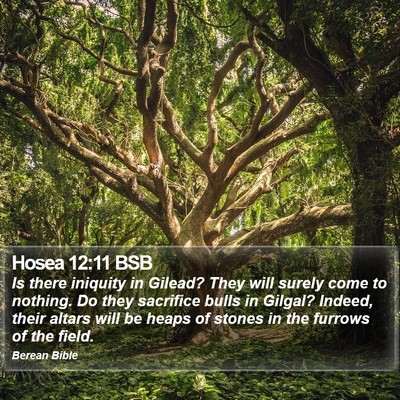 Hosea 12:11 BSB Bible Verse Image