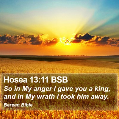 Hosea 13:11 BSB Bible Verse Image