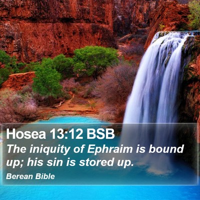 Hosea 13:12 BSB Bible Verse Image