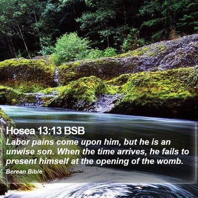 Hosea 13:13 BSB Bible Verse Image