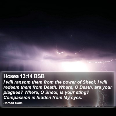 Hosea 13:14 BSB Bible Verse Image