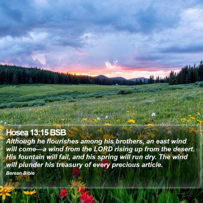 Hosea 13:15 BSB Bible Verse Image