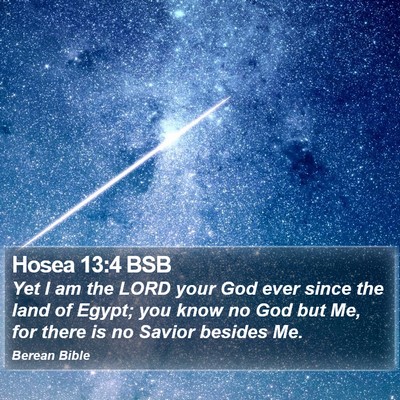 Hosea 13:4 BSB Bible Verse Image