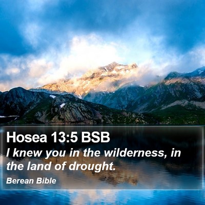 Hosea 13:5 BSB Bible Verse Image
