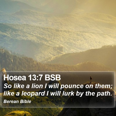 Hosea 13:7 BSB Bible Verse Image