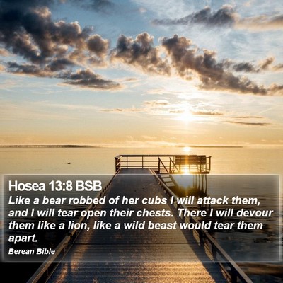 Hosea 13:8 BSB Bible Verse Image