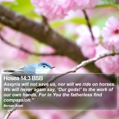Hosea 14:3 BSB Bible Verse Image