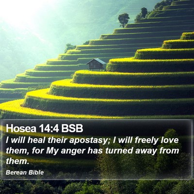 Hosea 14:4 BSB Bible Verse Image