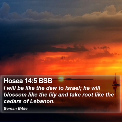 Hosea 14:5 BSB Bible Verse Image