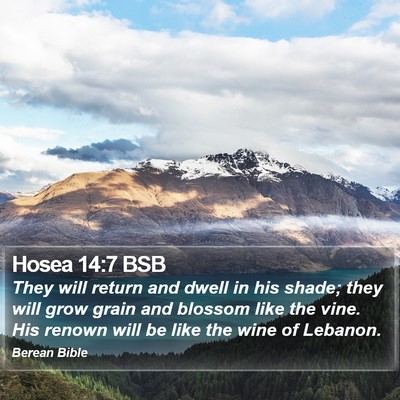 Hosea 14:7 BSB Bible Verse Image
