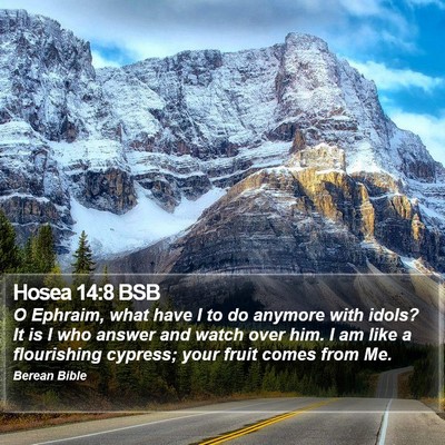 Hosea 14:8 BSB Bible Verse Image
