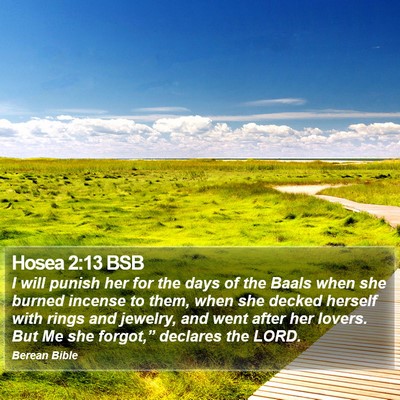 Hosea 2:13 BSB Bible Verse Image