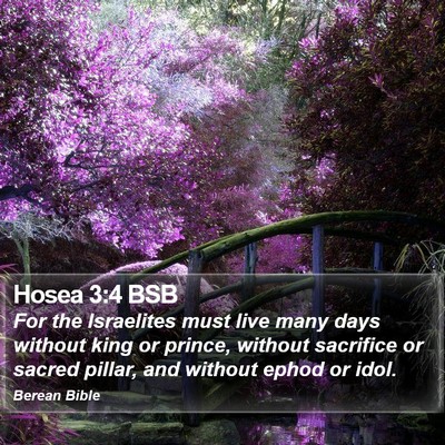 Hosea 3:4 BSB Bible Verse Image