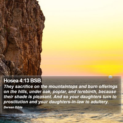 Hosea 4:13 BSB Bible Verse Image