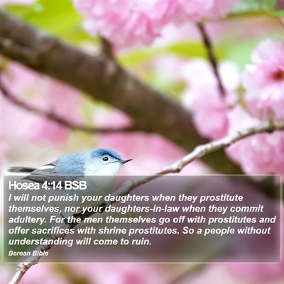 Hosea 4:14 BSB Bible Verse Image