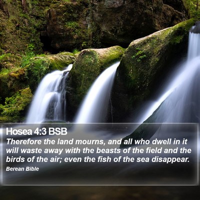 Hosea 4:3 BSB Bible Verse Image