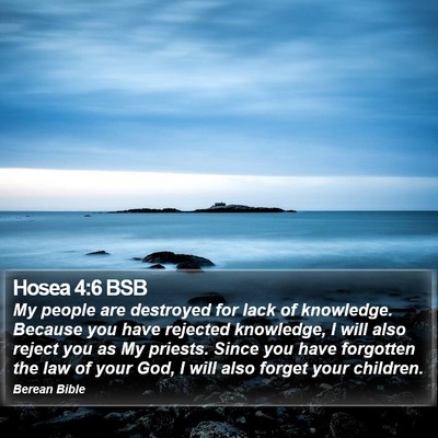 Hosea 4:6 BSB Bible Verse Image