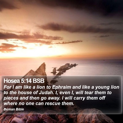 Hosea 5:14 BSB Bible Verse Image