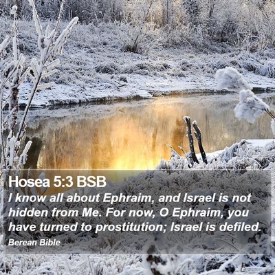 Hosea 5:3 BSB Bible Verse Image