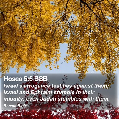 Hosea 5:5 BSB Bible Verse Image