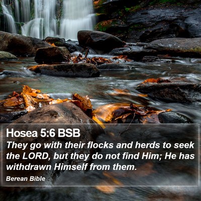 Hosea 5:6 BSB Bible Verse Image