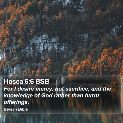 Hosea 6:6 BSB Bible Verse Image