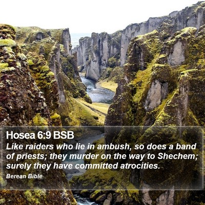 Hosea 6:9 BSB Bible Verse Image