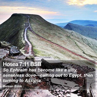 Hosea 7:11 BSB Bible Verse Image