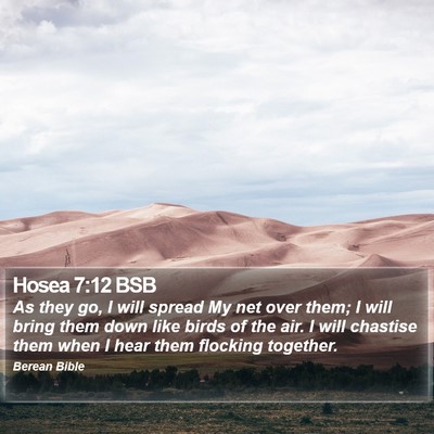 Hosea 7:12 BSB Bible Verse Image