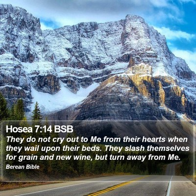 Hosea 7:14 BSB Bible Verse Image