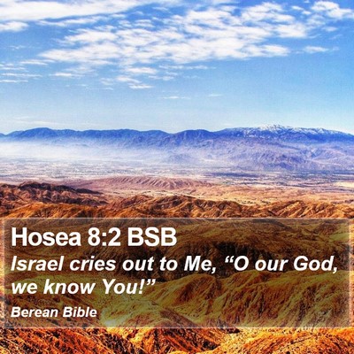 Hosea 8:2 BSB Bible Verse Image