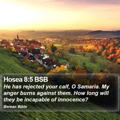 Hosea 8:5 BSB Bible Verse Image